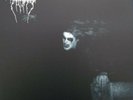 DARK THRONE - A BLAZE IN THE NOTHERN SKY, VINYL, BLACK METAL