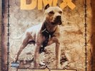 DMX GRAND CHAMP VINYL 2-LP SET PROMO COPY RUFF RYDERS EXCELLENT SUPER RARE LP