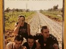 THE CLASH - COMBAT ROCK LP Vinyl FE 37689 1982 Masterdisk HW Terre Haute NM-