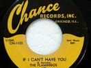 FLAMINGOS If I Can't Have You/Someday, Someway 45 CHANCE repro MINT- C 3893