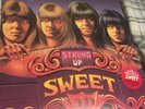 Sweet: Strung up Vinyl 2 LP (Full Colour Version)