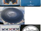 HOUSE OF LOVE-HOUSE OF LOVE  NEAR MINT  VINYL  Greek LP 1990