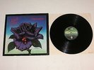 THIN LIZZY - Black Rose LP 1st German Press Phonogram Rec 1979, signed by 2, RAR