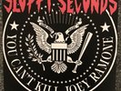 SLOPPY SECONDS - YOU CANT KILL JOEY RAMONE  (ZERO BOYS,NOFX,SCREECHING WEASEL )
