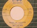 R&B Rocker RAY AND BOB Palms Of Paradise / Air Travel LEDO 45 1150