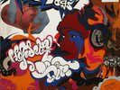 Resin Dogs ?Hi Fidelity Dirt Vinyl LP 2003 Australia Record