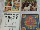 Beach Boys Vinyl Records.  Pet Sounds. Love You. Greatest Hits. LA Lights.