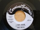 FtTHE PETS I SAY YEAH WEST SIDE PARTY CARNIVAL 511 GEORGE CLINTON SOUL 45 NOS MI
