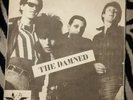 THE DAMNED NEW ROSE 7
