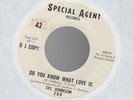 Orig Promo SYL JOHNSON Do You Know What Love Is/I Found In You 45 Special Agent