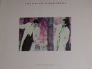 Dolphin Brothers - Catch the Fall  - Vinyl LP