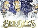 Bee Gees - Timeless - The All-Time Greatest Hits (VINYL 12 INCH DOUBLE ALBUM)