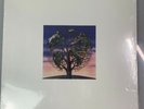 Talk Talk - Laughing Stock [Vinyl]