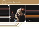 Simple Minds-Cry - Simple Minds VINYL NEW