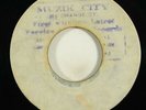 Termites/Ernest Wilson 