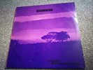 DAWNWIND Looking back on the future 1976 UK PRIVATE ACID FOLK LP RARE