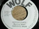 Burning Spear ?– Resting Place / Shady Tree  7
