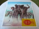 ELVIS COSTELLO AND THE ATTRACTIONS / ARMED FORCES / INNER / POSTCARDS /7