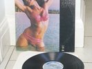 FREDA PAYNE USA LP 