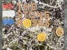 the stone roses The Stone Roses Album vinyl marbled coloured vinyl N/M