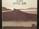 SPITFIRE DEBS - DAWN LP - 1980 Rca SP PROMO killer DISCO-FUNK ITALIAN LIBRARY