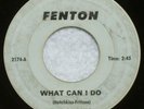 FENTON The Quests What Can I Do And & Shadows In The Night 1967 Michigan Garage