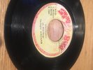 THE MIGHTY ABIJANS Untamed Swing Bird 1980 7” Vinyl