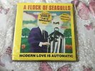 A Flock Of Seagulls - The 12
