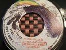Ras Michael & The Sons Of Negus Numbered Days Roots 7
