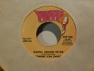 TOWNES VAN ZANDT WAITIN' AROUND TO DIE //TAKING KARATE BLUES POPPY NEAR MINT 45