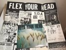FLEX YOUR HEAD LP 1982 DISCHORD RECORDS  Hard Core W/ POSTER Punk