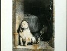 PAVLOV'S DOG 'Pampered Menial' 1975 1st press (ABC) white label Promo LP