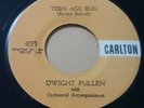DWIGHT PULLEN - TEEN AGE BUG / SUNGLASSES AFTER DARK  - 7