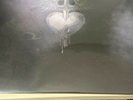 BON JOVI EXTRAS LP