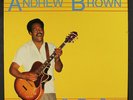 ANDREW BROWN: On The Case LP (Netherlands) Blues & R&B