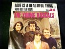 The YOUNG RASCALS You Better Run/Love Is A Beautiful Thing PICTURE SLEEVE 45