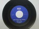 The Drones - Why Must The World / I'm Down Today Rare Original 45 VG+ MOD Garage