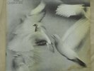 Donald Byrd, FREE FORM, 1966, Vinyl Stereo BLUE NOTE, BST 84118, cover damage