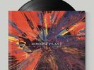 Robert Plant - Digging Deep - 7