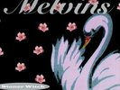 Melvins - Stoner Witch [New Vinyl LP] Holland - Import