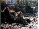 R.E.M. MURMUR (1st ALBUM) RARE ORIG '83 LP FIRST I.R.S. PRESSING INDIE MILESTONE