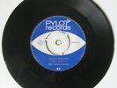 The Bystanders `That`s The End` 1965 Pylot Records Single - RARE