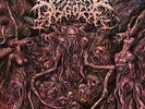 Visceral Disgorge - Ingesting Putridity LP #132314