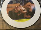 Nofx The Decline Picture Disk Fat Wreck Chords Punk Lp