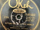 okeh 8784 Mississippi Sheiks SITTING ON TOP OF WORLD 78 rpm 1930 G