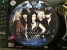 Nightwish ?– Bye Bye Beautiful  12