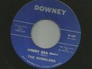 SURF GARAGE + EXOTICA INSTROS- RUMBLERS - ANGRY SEA  / BUGGED -HEAR -1963 DOWNEY