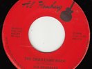 SUE BRUBAKER *THE DEAD CAME BACK* PRIVATE PRESS OBSCURE PSYCH ACID FOLK ROCK