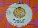 Wild Fuzz Garage Punk Acid Psych Organ 45 The Wild Childs Closer To You NM HEAR