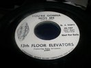 13th Floor Elevators on INT107